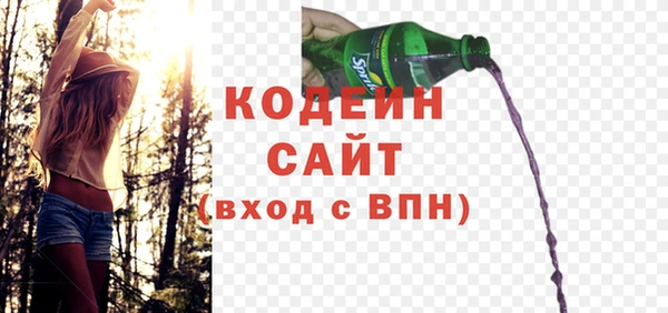 шишки Белокуриха